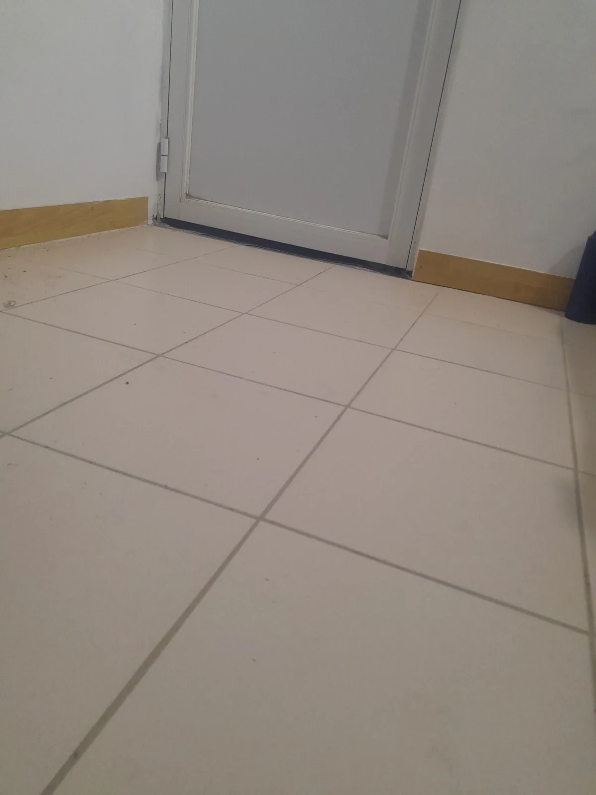 Trabajo 2
